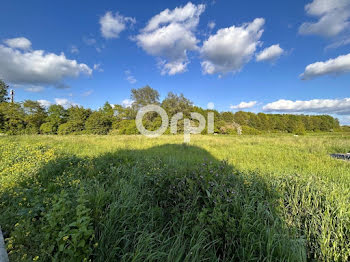 terrain à Douai (59)