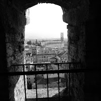  torre guinigi lucca di 