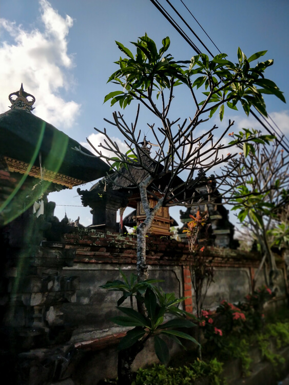 travel tips for bali