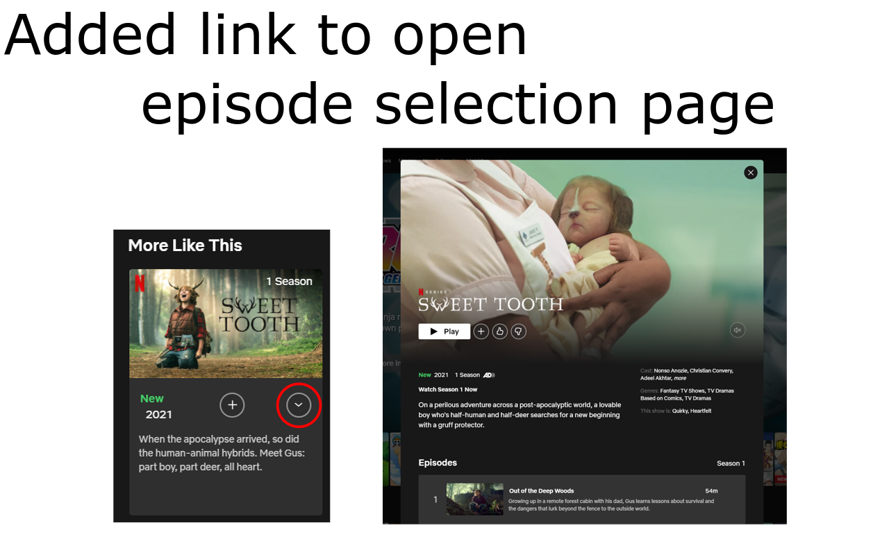 ep.list link on More Like This for Netflix Preview image 0