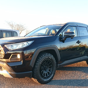 RAV4 MXAA54