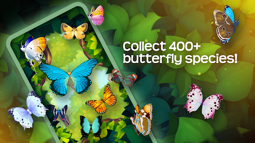 Screenshot Flutter: Butterfly Sanctuary