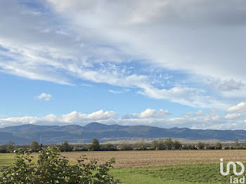 terrain à Oberhergheim (68)