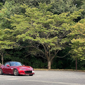 ロードスター ND5RC