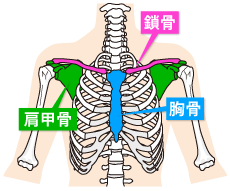 肩こりには鎖骨ほぐし Re Ra Ku