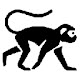 Monkey Wallpapers HD Theme