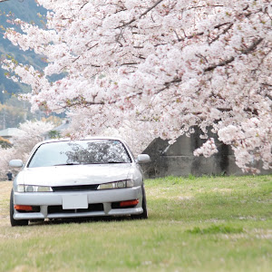 シルビア S14 後期