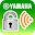 IDRescue Download on Windows