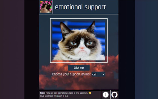 emotional support