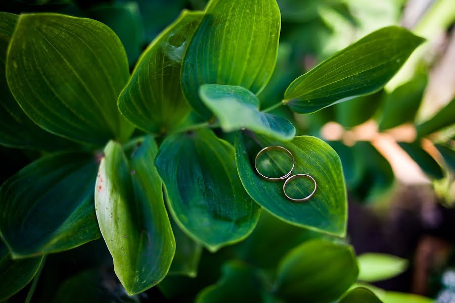 Fotografo di matrimoni Ekaterina Tolstyakova (katrin694). Foto del 14 agosto 2017