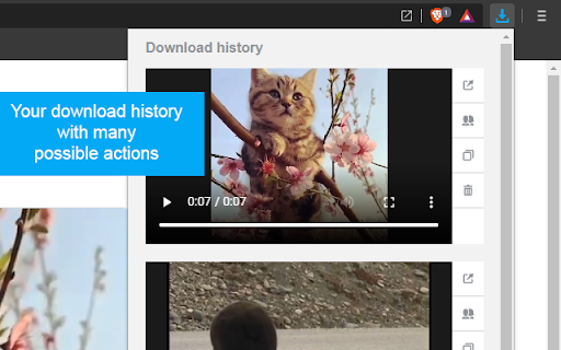 Twitter Video Downloader