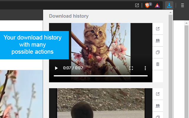 Twitter Video Downloader Preview image 2