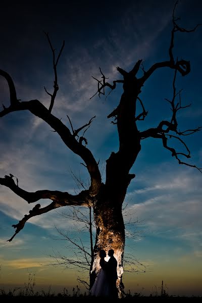 Photographer sa kasal Zoran Marjanovic (uspomene). Larawan ni 7 Abril 2019