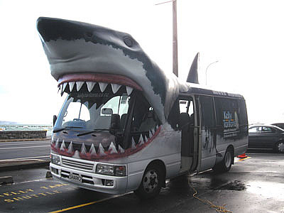 Nashville-San Jose Shark%20Bus