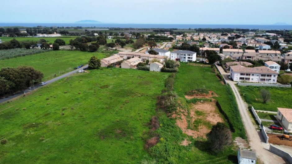 Vente terrain  760 m² à Penta-di-Casinca (20213), 113 500 €