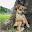 Funny pictures and jokes Download on Windows
