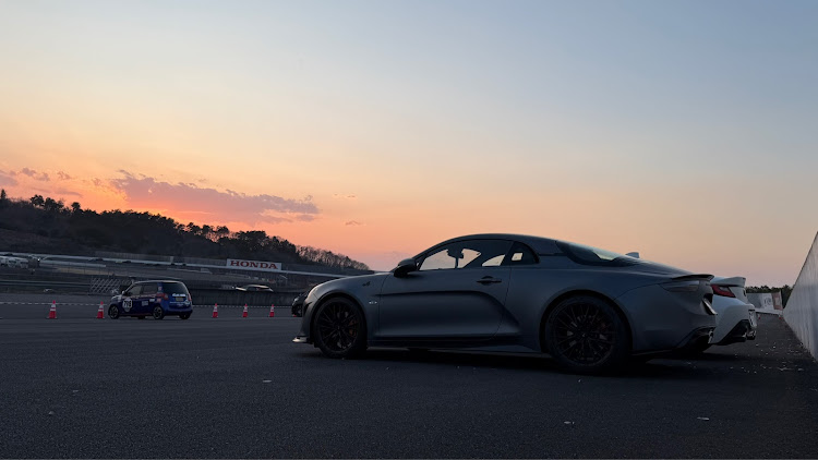 アルピーヌの春の風物詩と愛車・顔真っ赤になるほど日焼け・鼻の下真っ赤になる程花粉・羽ぴーぬから花粉くらいまくりで粉ぴーぬ・カレー部定期報告に関するカスタム事例の投稿画像34枚目