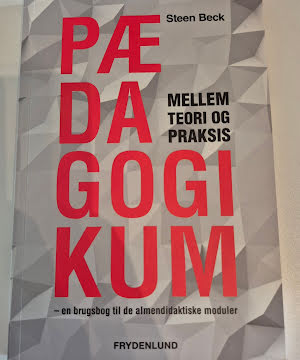 Pædagogikum mellem teori og praksis