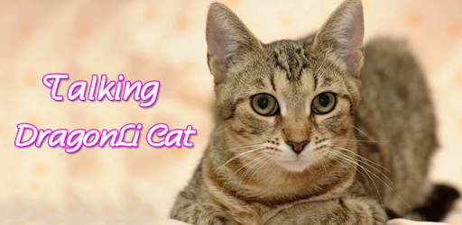 Talking Tabby Cat