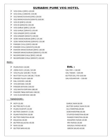 Surabhi Pure Veg Family Restaurant menu 