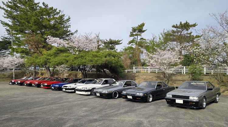 スカイラインの鉄仮面・岡ミー行ってきました・桜とコラボ・鷲羽山展望台駐車場・車高短に関するカスタム事例の投稿画像12枚目