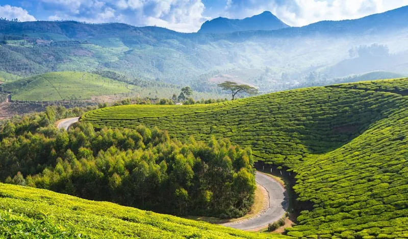 coonoor-places-to-visit-in-south-india_image