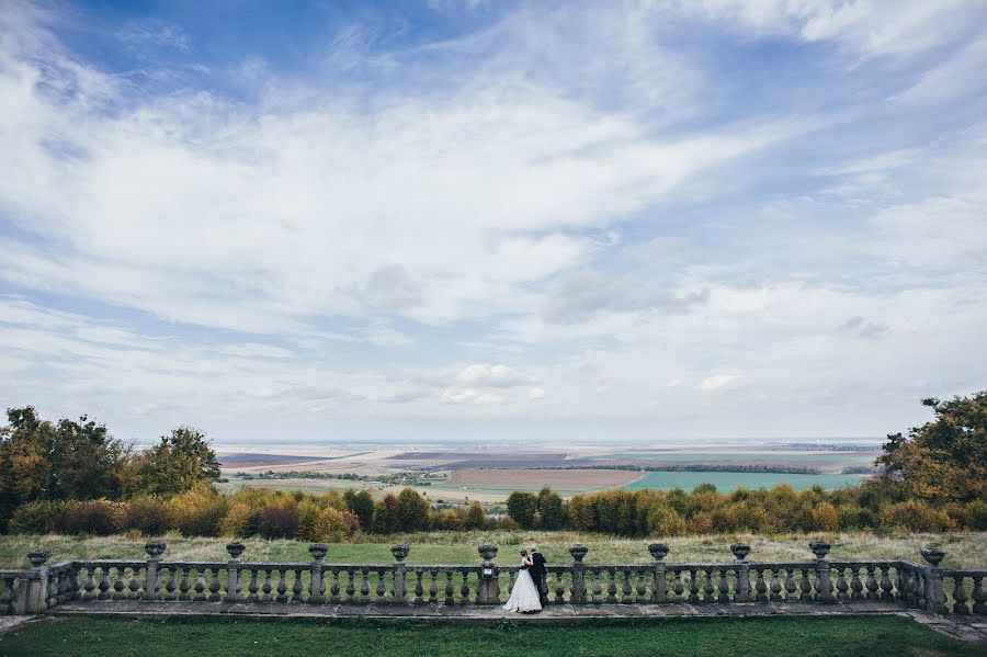 Fotógrafo de casamento Olga Shevchenko (olgashevchenko). Foto de 22 de agosto 2018