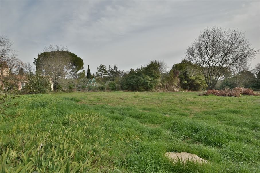 Vente terrain  957 m² à Villevieille (30250), 222 000 €