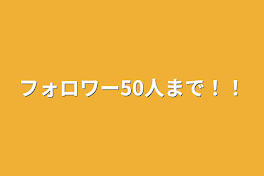 フォロワー50人まで！！