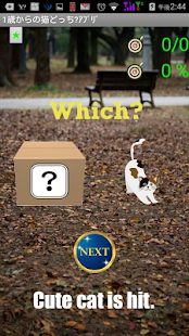 Cat App from One Year-Olds 1【for young children】(圖3)-速報App