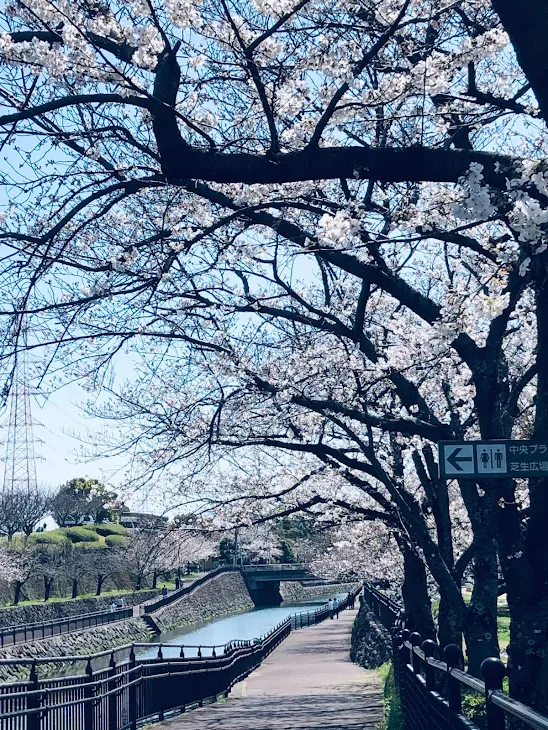 「おはよ(  ˊ꒳ˋ ) ᐝ」のメインビジュアル