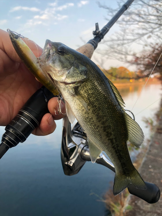 レガシィツーリングワゴンのドライブに関するカスタム事例の投稿画像10枚目