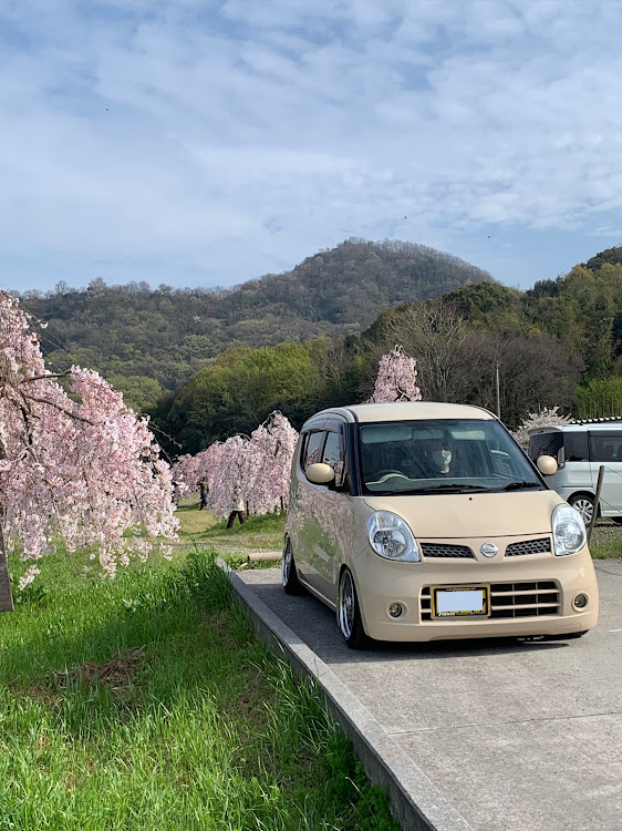 モコの香川県・サクラと愛車・桜とコラボ・名残惜しい・三豊市三野町に関するカスタム事例の投稿画像1枚目