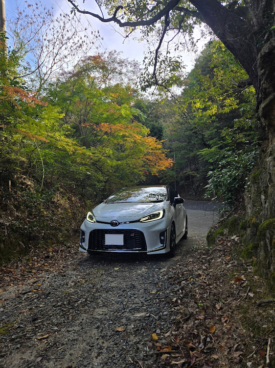 アクアの朝ドラ・熊本・紅葉・もうすぐ師走・眺めよし！に関するカスタム事例の投稿画像2枚目