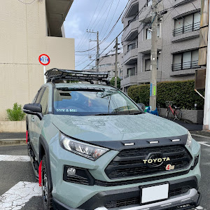 RAV4 MXAA54