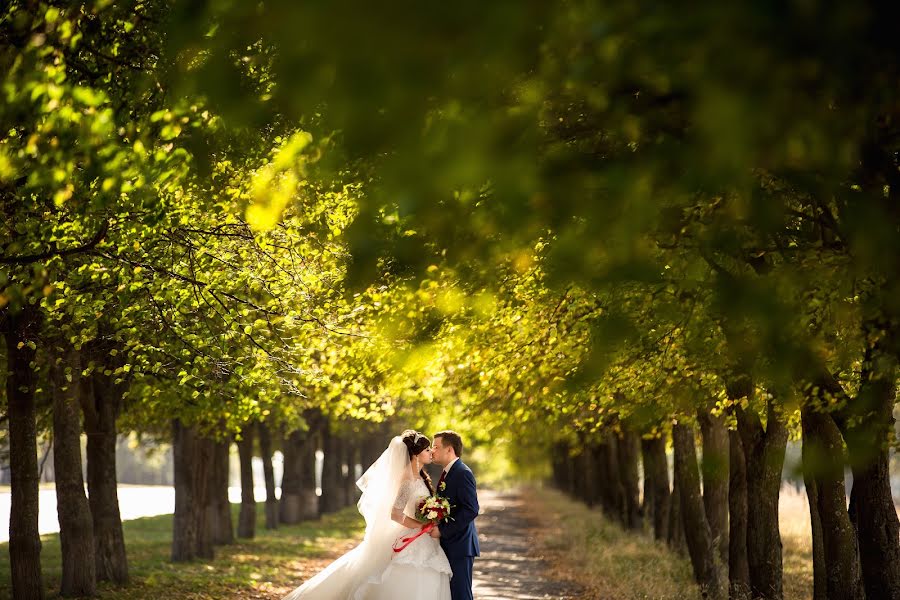 Fotógrafo de bodas Nikolay Shepel (kkshepel). Foto del 11 de octubre 2015