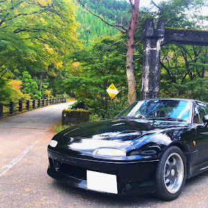 ロードスター NA8C