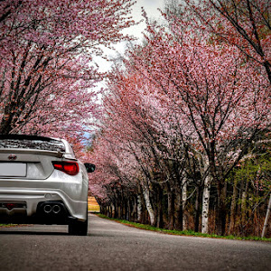 86 ZN6