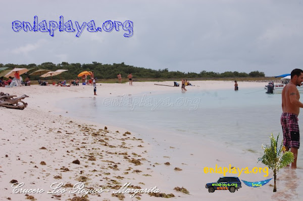 Playa Noronquises DF042 Los Roques