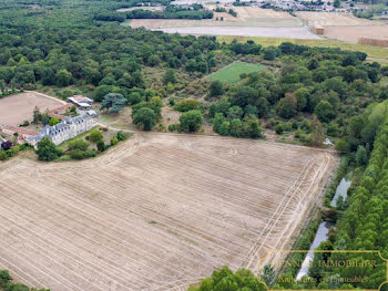 château à Loudun (86)