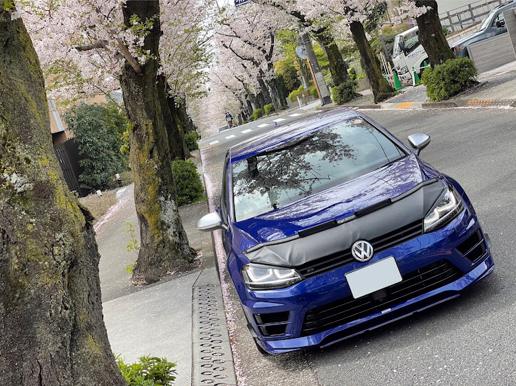 ゴルフ Rの桜と愛車・桜とコラボ・車高調整・エッティンガーに関するカスタム事例の投稿画像10枚目