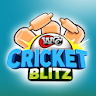 WCC Cricket Blitz icon