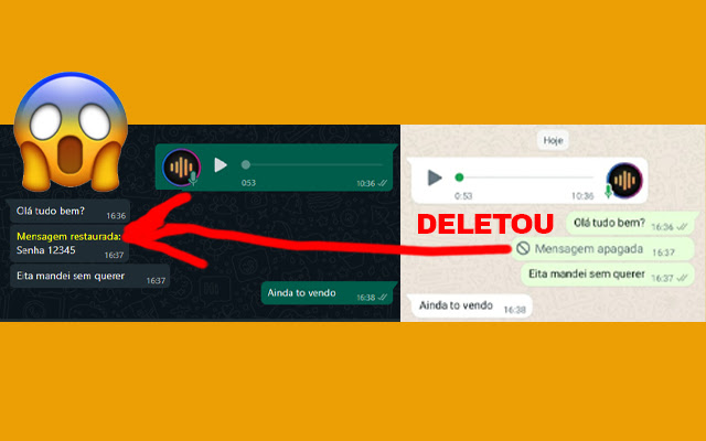 AudioZap Anti Delete chrome extension