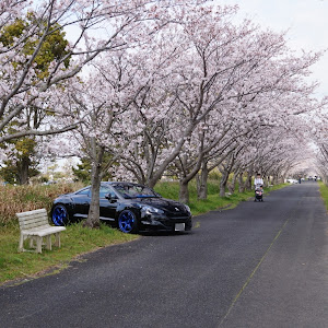 RCZ