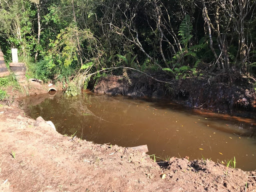 Terreno, 12 hectares - Foto 8