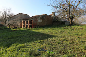 maison à Lys-Haut-Layon (49)