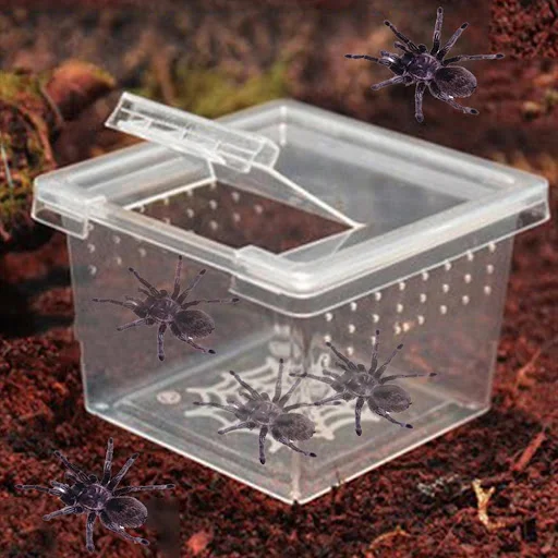 Reptile Breeding Box With Flip Cover Transparent Breathable For Frogs Snake Spider Portable Reptile Terrarium Habitat