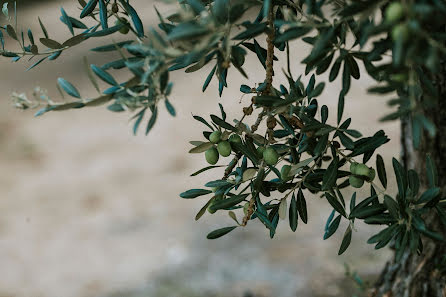 Φωτογράφος γάμων Teo Frantzanas (frantzanas). Φωτογραφία: 8 Μαΐου 2018