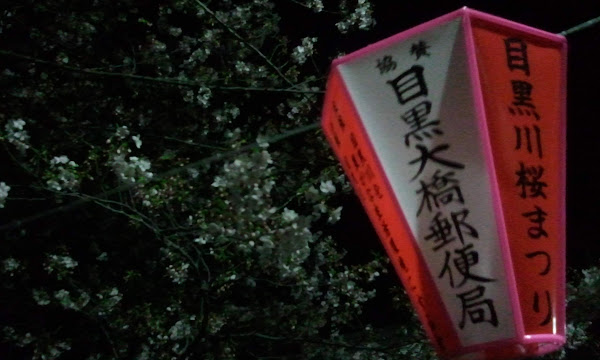  ราตรีซากุระ - 夜桜 - SAKURA at Night 2011