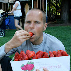 fraises de Californie